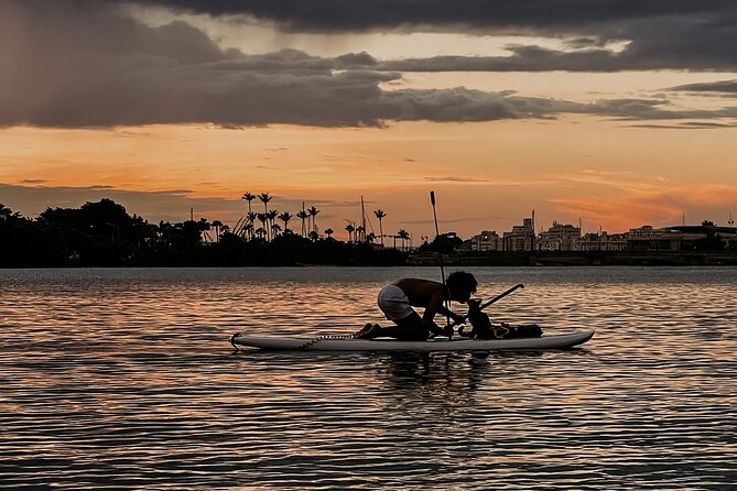 1-Hour Condado Lagoon Paddleboard Rental in San Juan - How the $32 price measures up