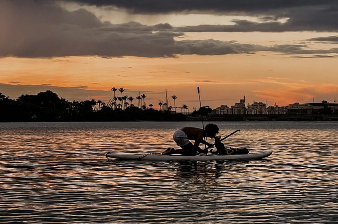 1-Hour Condado Lagoon Paddleboard Rental in San Juan - Who will enjoy this rental most