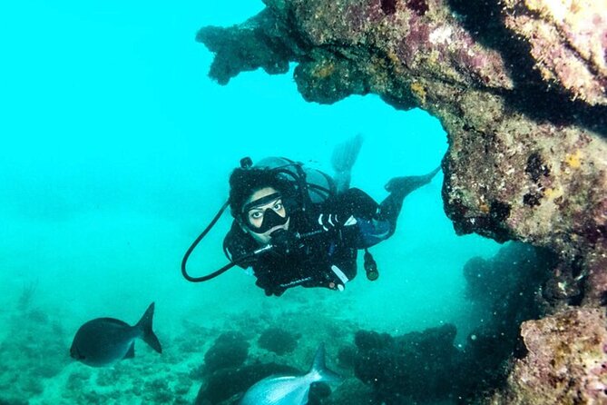 2-Tank Scuba Boat Trip in World-Class Sites @ Copamarina - Starting at Copamarina at 7:00 am