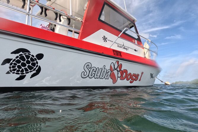 2-Tank Scuba Boat Trip in World-Class Sites @ Copamarina - The Epicenter at 50 to 60 feet