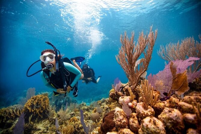 2-Tank Scuba Boat Trip in World-Class Sites @ Copamarina - The Wall and its 2,000-foot drop
