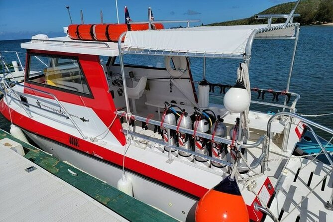 2-Tank Scuba Boat Trip in World-Class Sites @ Copamarina - What the marine life means for your experience