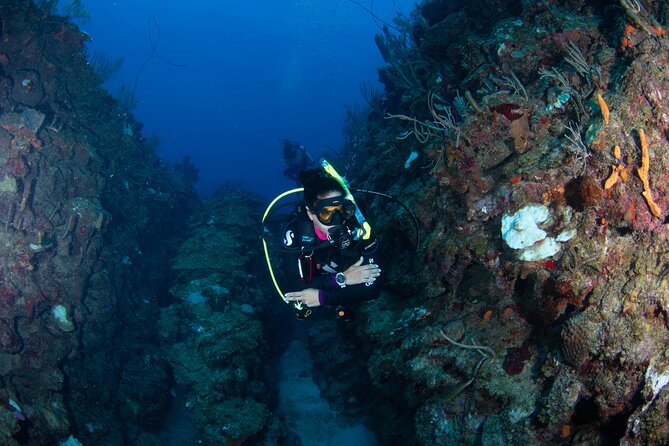 2-Tank Scuba Boat Trip in World-Class Sites @ Copamarina - The boat outing and small-group advantage