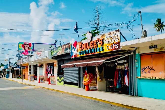 2 Tours in 1 Day: Rainforest Waterslides & Beach Tour w/Transport - Frutera Flores: a useful first taste of Luquillo