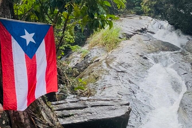 3 Tours in 1 Day: Old San Juan, Rainforest, Beach with Transport - A sweet 30-minute stop at La Frutera