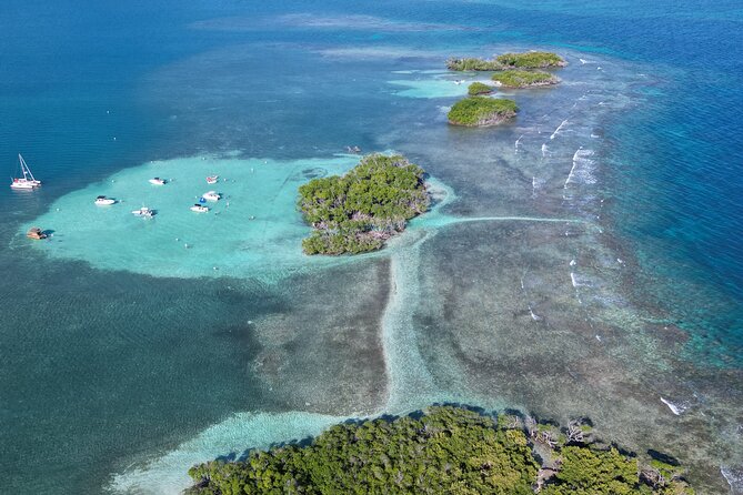4 hours Tour in La Parguera Private Boat Charter - Why this La Parguera charter feels different