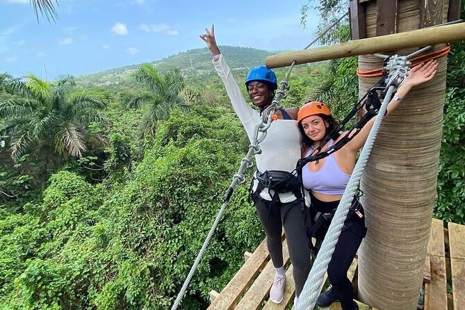 Adventure Trail Tour in the foothills of the National Rainforest - Key points to know before you book