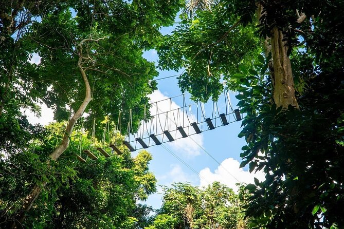 Adventure Trail Tour in the foothills of the National Rainforest - What the $110 price really covers