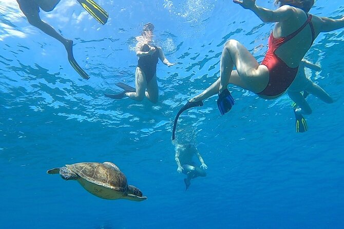 Aguadilla Tropical Snorkeling - Reaching a coral reef from the shore