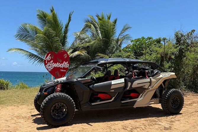 Aguadilla UTV Off-Road Tour to Faro Ruins! - What this Aguadilla UTV trip is really like