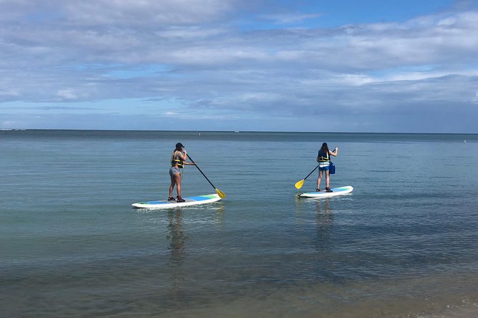 All-Day Paddleboard Rental – Fajardo, Puerto Rico - Key points to know before you book