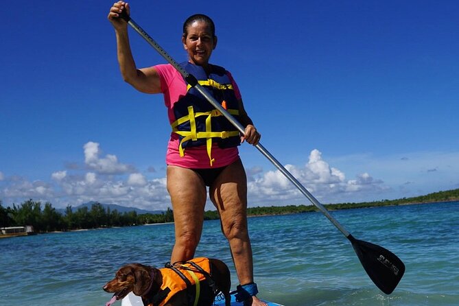 All-Day Paddleboard Rental – Fajardo, Puerto Rico - Mangroves, birds, and a slower view of Fajardo