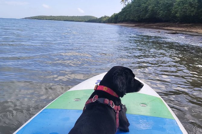 All-Day Paddleboard Rental – Fajardo, Puerto Rico - Timing your outing around the weather