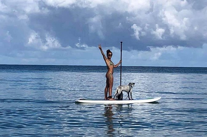 All-Day Paddleboard Rental – Fajardo, Puerto Rico - Who will enjoy this rental most