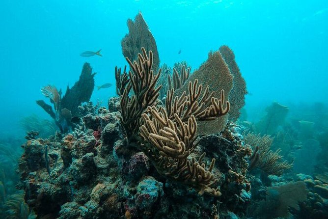 All Inclusive Beach and Snorkel Boat Tour to Icacos Island - White sand and open space on Icacos