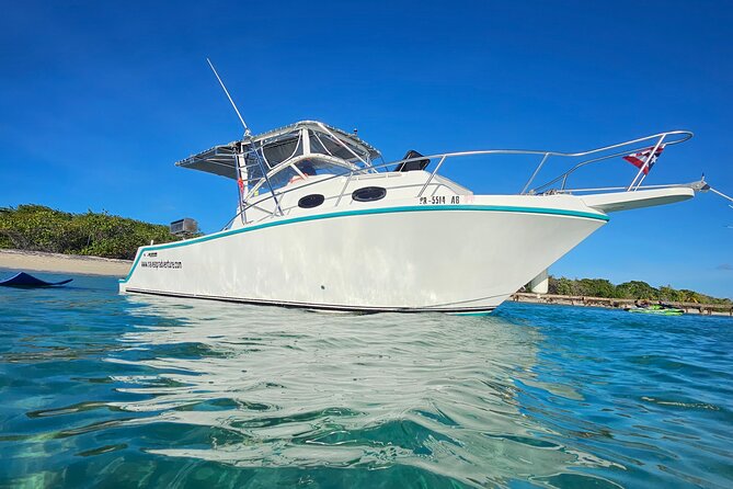All-Inclusive: Mako 29ft Boat Tour to Icacos Palomino & Palominito - Palomino Island, private beaches, and possible turtles