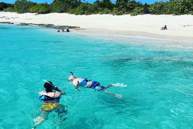 All inclusive Private Tour to Icacos and Palomino Island - Choosing Between Icacos and Palomino Island