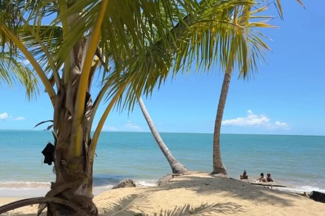 Añasco-Bunny Fever Adventure Experience - A Private Tour Led by Vedsy