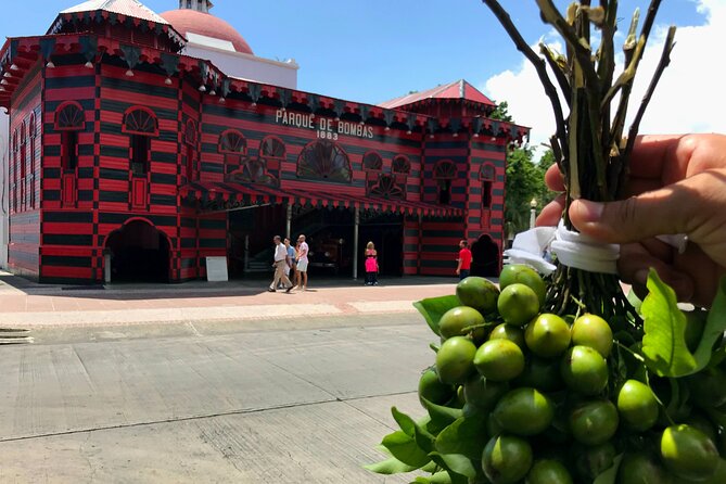 Around the Island Tour From San Juan - Key points to know before you book