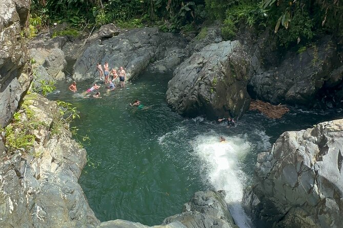 Authentic El Yunque Rainforest Adventure — Waterfalls & Slides - What the guides add to the day