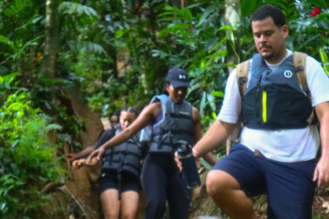 Authentic El Yunque Rainforest Adventure — Waterfalls & Slides - Is $35.99 a good price?