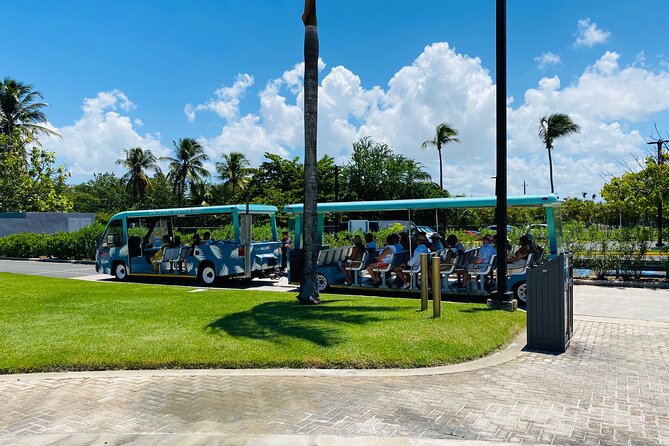 Bacardi Rum Distillery and Old San Juan Tour - How accessible and comfortable is the experience?