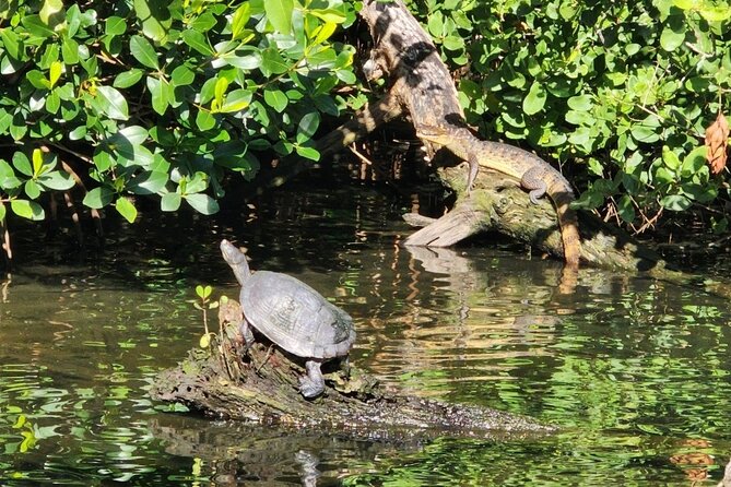 Backwater Wildlife and Boat Tour - Setting Out From the Carolina Fishing Ramp