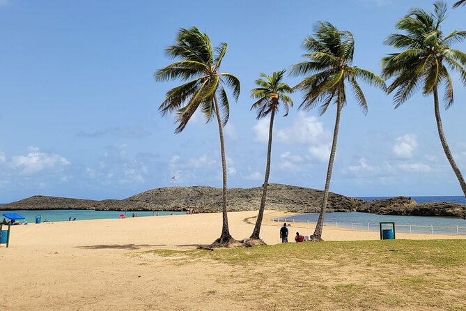 Beach and Ojo de Agua Experience! - Key Points Before You Book
