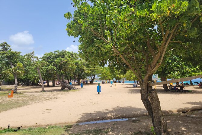 Beach and Ojo de Agua Experience! - Time to Eat, Without a Meal Included