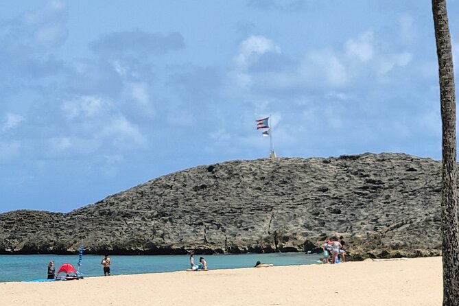 Beach and Ojo de Agua Experience! - What Makes Vega Baja Beach Worth the Stop