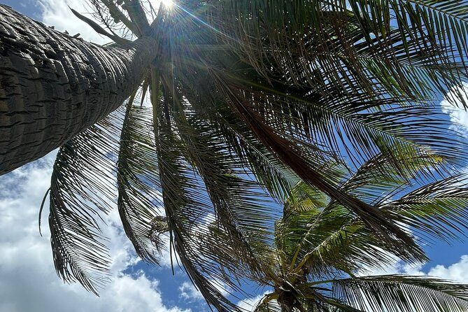 Beach Bliss Yoga in San Juan - Breathwork Starts the Practice