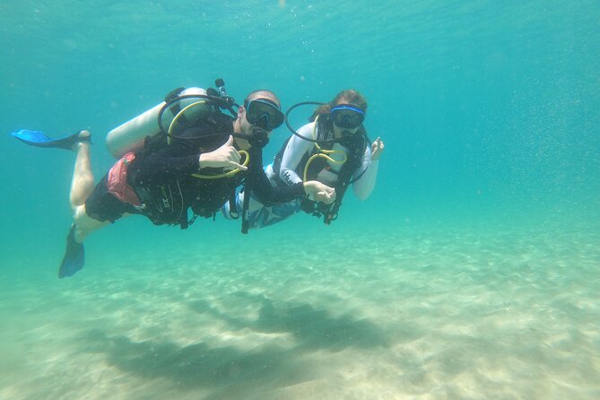 Beginner Scuba Diving Guided Tour - No Experience Required - Why the Private Format Is Worth Paying For