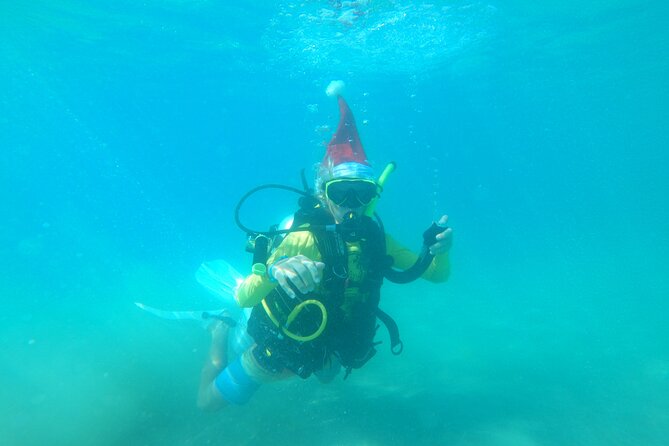 Beginner Scuba Diving Guided Tour - No Experience Required - Weather Is the Main Risk