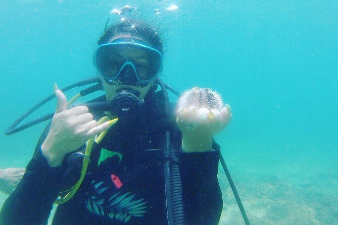Beginner Scuba Diving Guided Tour - No Experience Required - Practical Details Before You Book