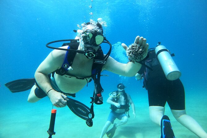 Beginner Scuba Diving Guided Tour - No Experience Required - Seeing Coral, Fish, and Other Aquatic Life