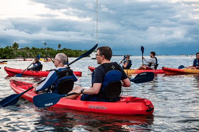 Bio Bay Kayak Tour in Fajardo - The guides make a major difference