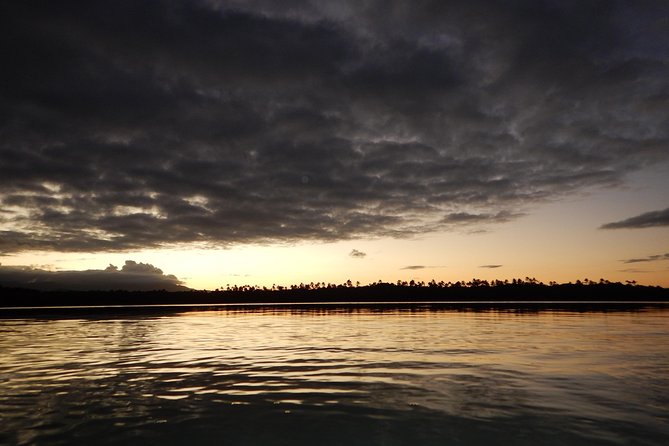 Bio Bay Kayak Tour in Fajardo - Is $89 a fair price?