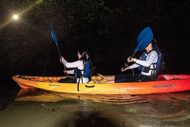 Bio Bay Kayak Tour in Fajardo - Weather, cancellations, and basic rules