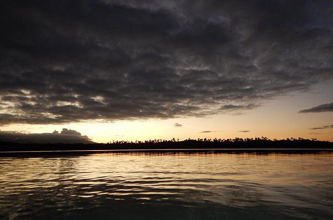 Bio Bay Kayak Tour in Fajardo - Who will enjoy this Fajardo night tour?