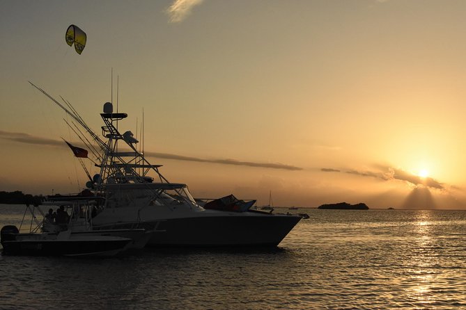Bio Bay Magic and Rum Tasting Tour from San Juan - What makes this tour worth considering