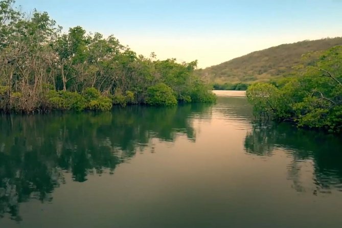 Bio Bay Magic and Rum Tasting Tour from San Juan - Crossing the Sierra de Cayey toward La Parguera