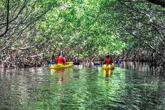 Bio Bay Night Kayak Tour in Fajardo - How strenuous is the two-hour route?