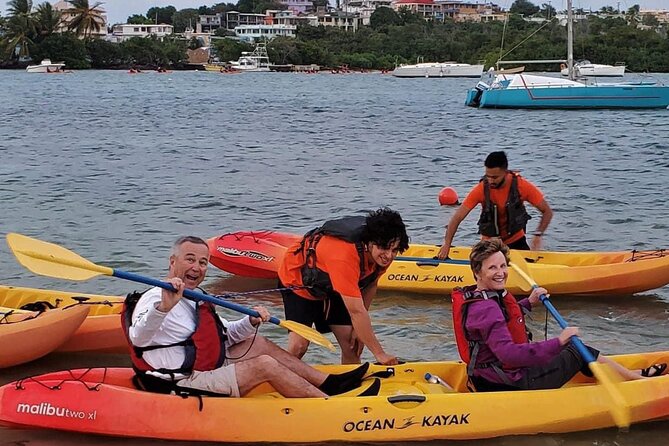 Bio Bay Night Kayak Tour in Fajardo - What makes the guides valuable