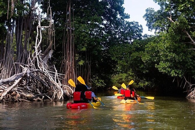 Bio Bay Night Kayak Tour in Fajardo - Who should book this Fajardo kayak tour?