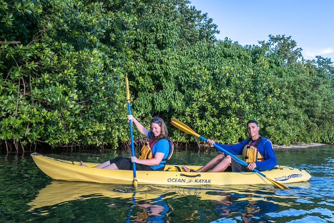 Bio Bay Night Kayak Tour with Transport from San Juan - The long ride from San Juan to Fajardo