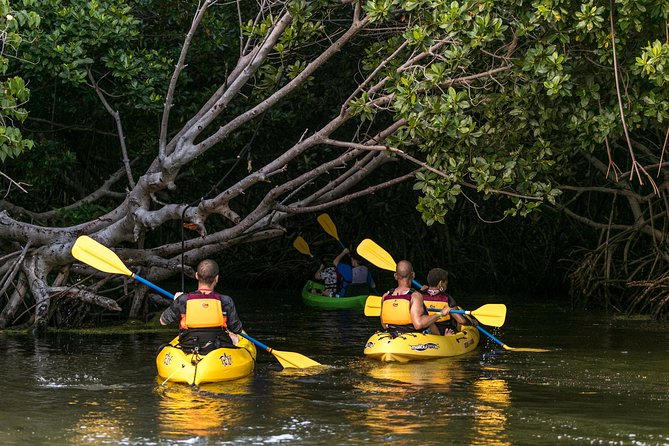 Bio Bay Night Kayak Tour with Transport from San Juan - Laguna Grande and the Las Cabezas mangrove reserve