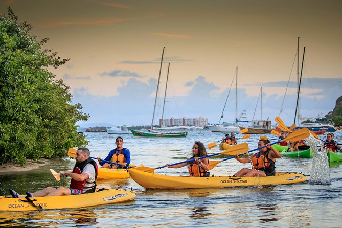 Bio Bay Night Kayaking | Laguna Grande, Fajardo - Key things to know before you book