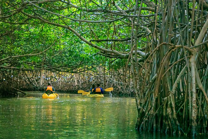 Bio Bay Night Kayaking | Laguna Grande, Fajardo - From Peniel Access Eco Tours to the mangrove channel