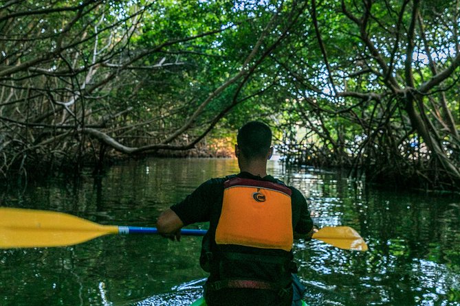 Bio Bay Night Kayaking | Laguna Grande, Fajardo - Who will enjoy this night kayak