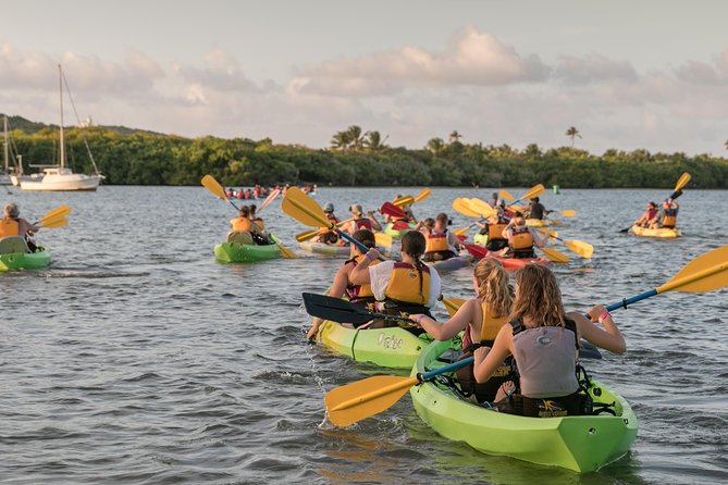 Bio Bay Night Kayaking with Transport from San Juan Area - What this Laguna Grande night trip is really like